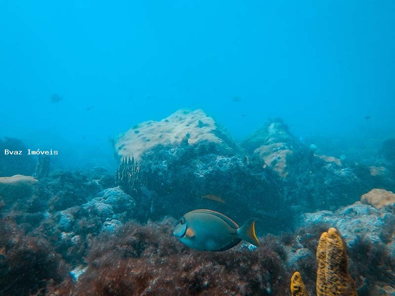 Apartamento, 1 quarto, 65 m² - Foto 3